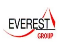 Everest Group.webp