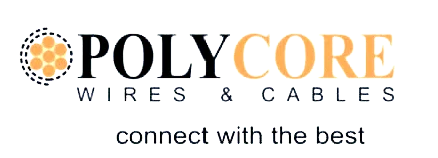 POLYVION Logo